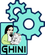 _images/ghini-web-installed.png